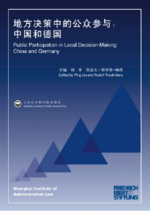 Public participation in local decision-making