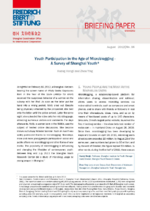 Youth participation in the age of microblogging - a survey of Shanghai youth